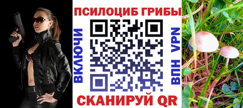 Псилоцибиновые грибы ЛСД  Братск 